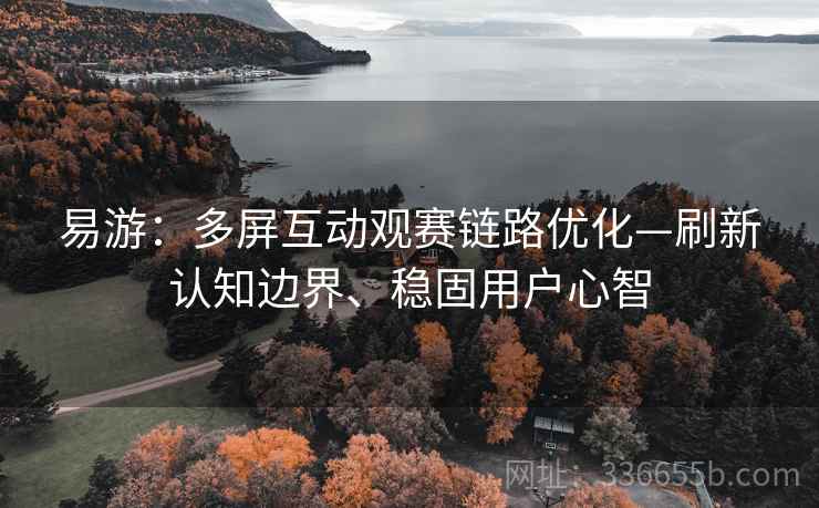 易游：多屏互动观赛链路优化—刷新认知边界、稳固用户心智